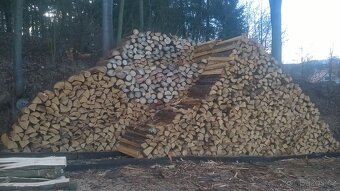 Palivové dřevo smrk suchý, buk- suchý , bříza - 4