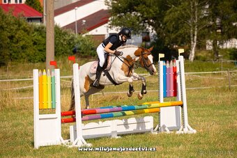 Charakterní klisna - 4