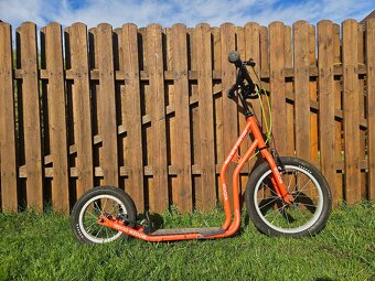 Koloběžka Yedoo Wzoom - 4