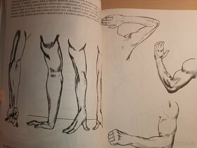 Prodám knihu Základy figurální kresby - 4