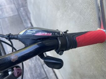 Kolo 24” Leader fox - 4