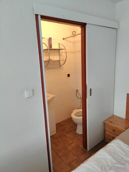 Byt 1+kk 19 m2 + balkon 8 m2, studenti/ky/pár, RD - 4