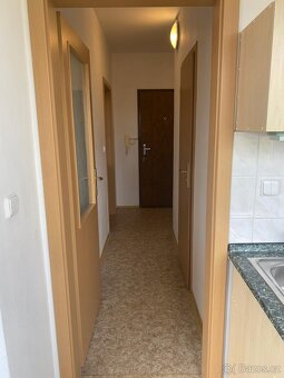 Prodej bytu OV 1+kk, Zelené Údolí, Liberec - 4