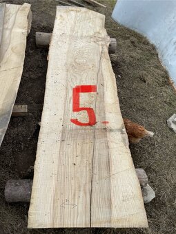 Jasanové fošny - 4