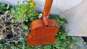 kytara Cremona 494 - 4