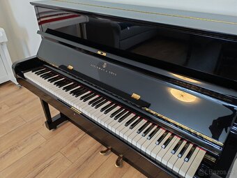 Steinway and Sons dovoz celá ČR - 4
