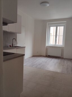 Pronájem bytu 1+1, 46m2 , PRAHA 4 Nusle - 4