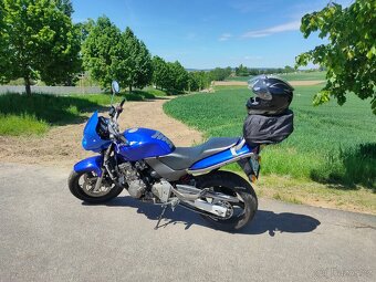 Honda Hornet 600 - 4