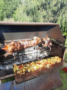Sele na gril - 4