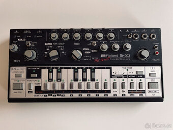 Roland TB-303 THE BEAST Rarita - 4