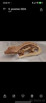 Terária s obyvateli - 4