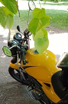 Kawasaki ER 5 - 4
