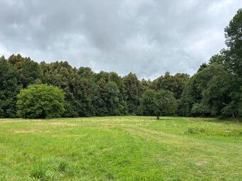 Prodej nemovitosti Loučná nad Desnou - 4