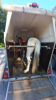 Přepravník na 1,5  koně - 4