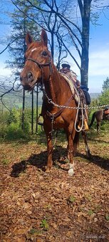 Prodej květen- červen - 4