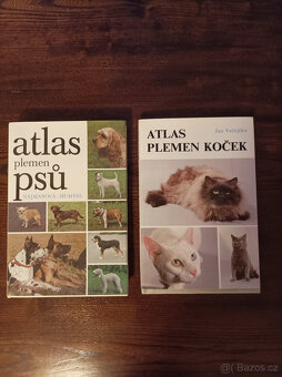 Pohádky a jiné zajímavé starší knihy - 4