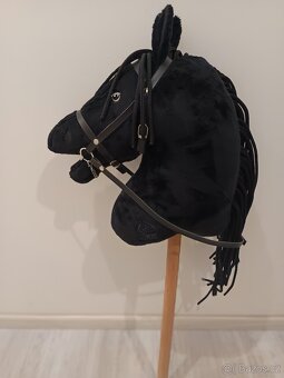 Hobby Horse - 4