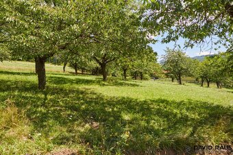 Prodej stavebního pozemku o výměře 2226 m² , obec Vyškovec - 4