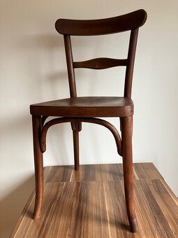 Zidle thonet - 4