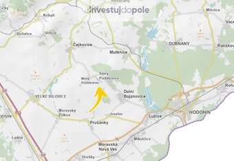 Prodej pole v k.ú. Starý Poddvorov - 4