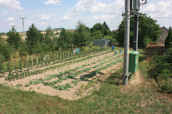 Prodej obec Vidice u Kutné Hory, pozemek, zahrada 1.478 m2 - 4