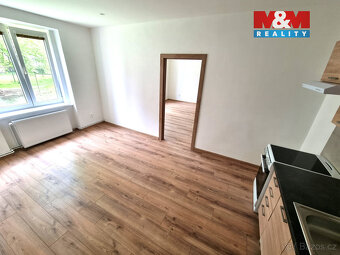 Pronájem bytu 1+1, 60 m², Ostrava, ul. Jindřichova - 4