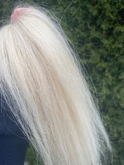 Středoevropské vlasové pasky - 4