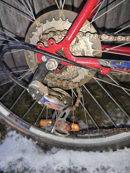 2xLeader Fox Catania - 4