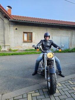 Harley Davidson - Fat Boy - 4