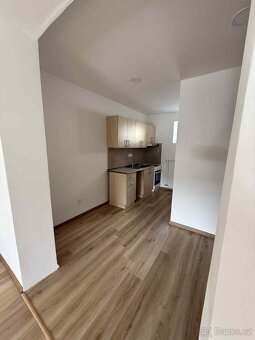 Pronájem bytu Kladno Švermov 1+1 - 4