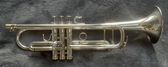 Profesionální trubka Eclipse Celeste CLS v Bb provedení ve v - 4