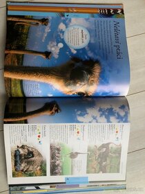 Zvířata - dětská obrazová encyklopedie - 4