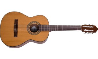 Kytara Strunal 4855 - 4