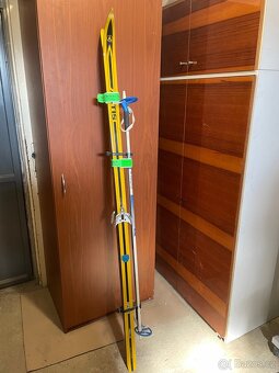 Běžky ARTIS a hůlky 180cm - 4