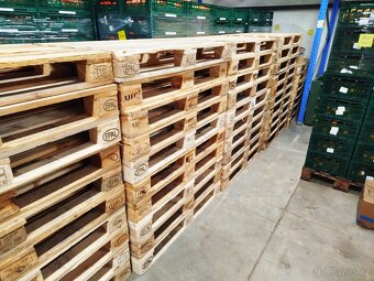 Euro palety - 4