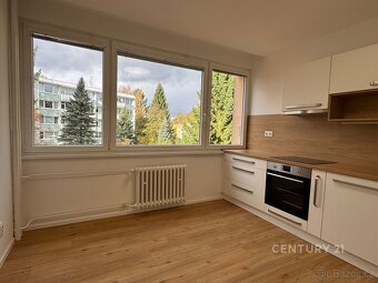 Pronájem bytu 3+1/B, po kompletní rekonstrukci, Vodňanská ul - 4