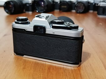 OLYMPUS OM-10 (Miranda MC Macro 70-210mm) - 1979 - 4