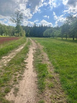 Ovocný sad 5219 m2 - 4