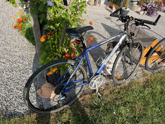 2 kola Dema Esperia a Imperia - 4