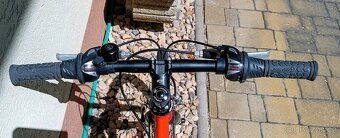 Junior Racing Bicycles 20" - 4