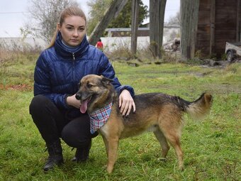 Raudi hledá domov - 4