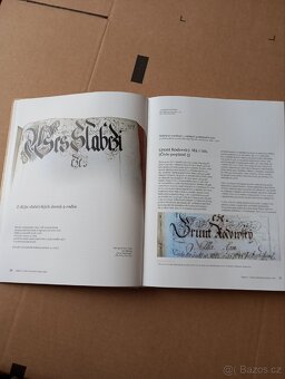 Kniha Slabčice -prodám - 4