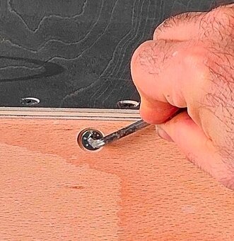 Cajon model Alabama Amateur série - 4