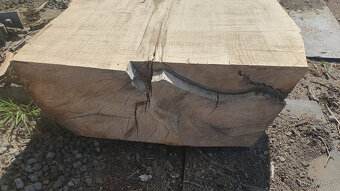 Jasanová fošna - blok na výrobu stolů - 4