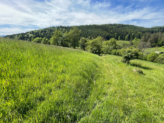 Prodej stavebního pozemku Kateřinice u Vsetína, 3809 m2 - 4