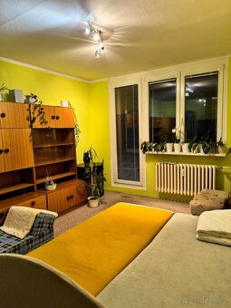 Pronájem bytu 1+1 • 41 m² - 4