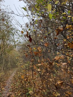 Prodám pozemky v k.ú. Háje a k.ú. Petrovice - 4