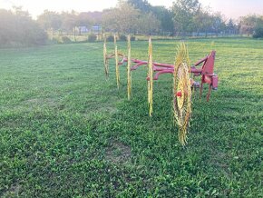 Obraceč/shrnovač rozmital - 4