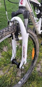 Scott Spark jr - 4