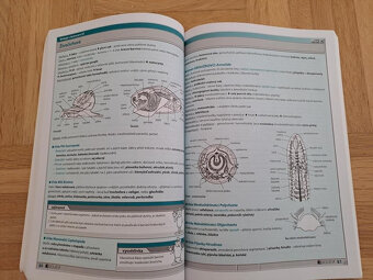 Biologie v kostce - 4